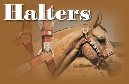 halter-title